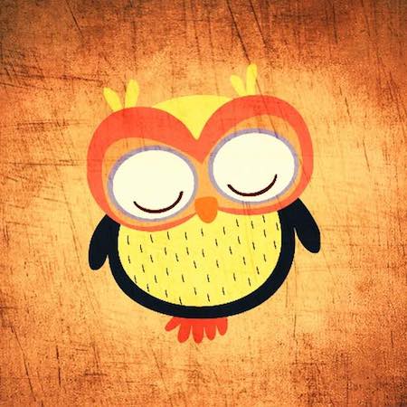 Monsieur Hibou