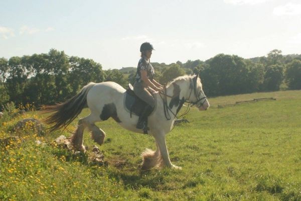 colonie de vacances et activité poney