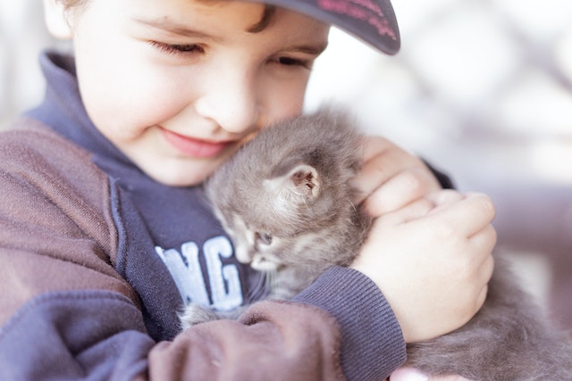 Enfants et animaux domestiques : quelles précautions à prendre ?